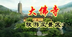 大鸡巴操小孩大片中国浙江-新昌大佛寺旅游风景区